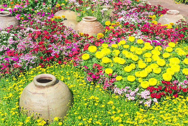 istock Beautiful flower garden. 482048998
