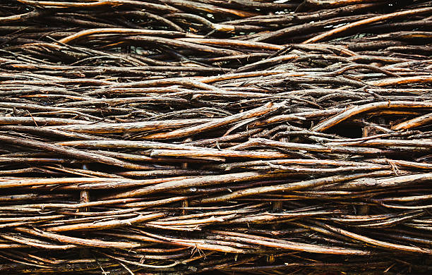istock Wattle fence of willow branches. 482055908