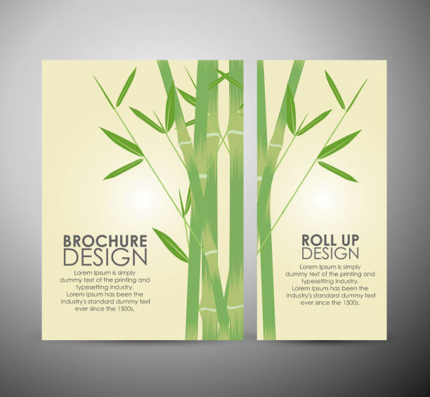 ilustrações, clipart, desenhos animados e ícones de com folhas de bambu. modelo de design de negócios brochura ou enrole. - bamboo bamboo shoot green isolated