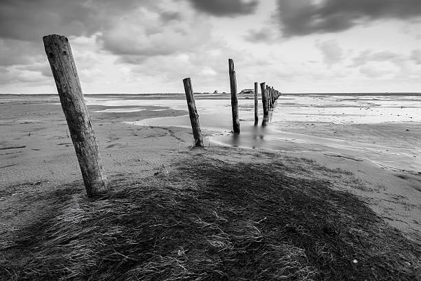 Beach of St. Peter Ording stock photo