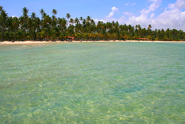 Praia dos Carneiros turquoise beach in Pernambuco, Northeastern Brazil.
