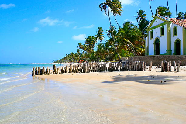 istock Paradise: deserted palm Beach and Church in Pernambuco, Northeastern Brazil 482058936