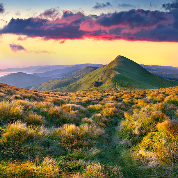 istock Colorful summer landscape in the mountains. 482059463