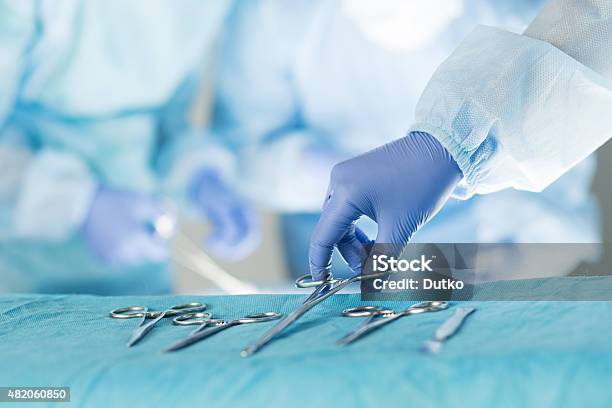 Closeup Of Scrub Nurse Taking Medical Instruments Stock Photo - Download Image Now - Surgery, Veterinarian, Animal Hospital