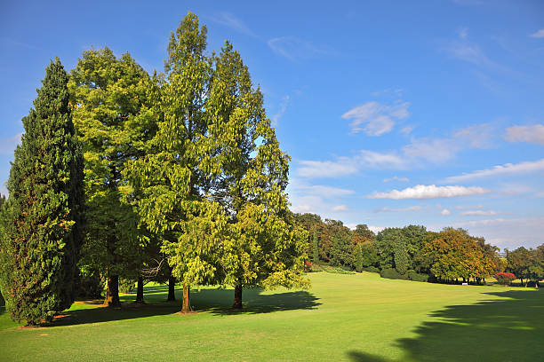 istock The  landscape park- garden 482061895