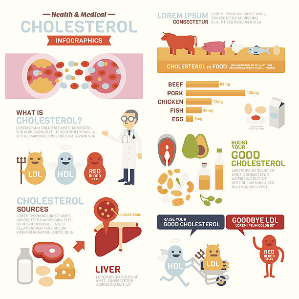 Cholesterol Infographics Set of element and icon for flat style Cholesterol Infographics. colesterol stock illustrations