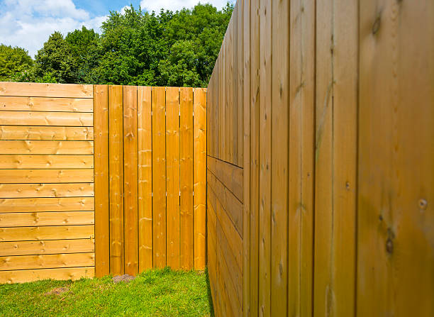 istock Vertical and horizontal boards in sunlight in summer 482063702