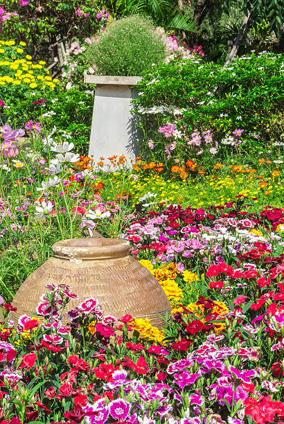 istock Beautiful flower garden. 482064100