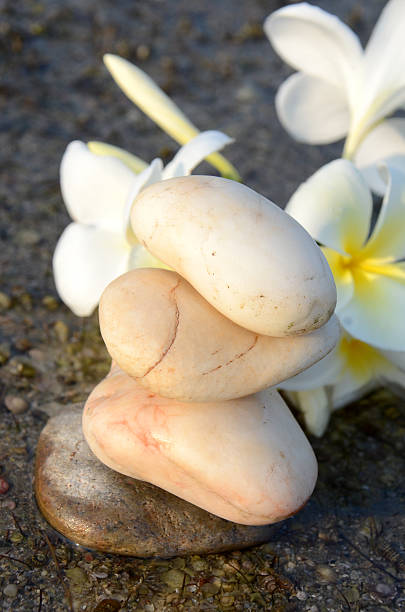 istock White plumeria flower 482066989