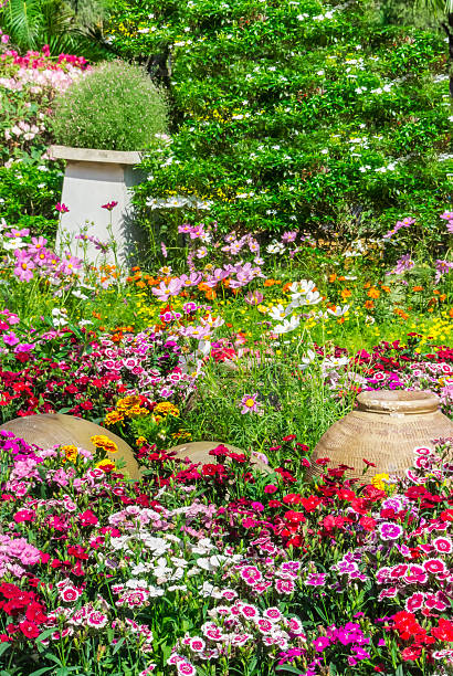 istock Beautiful flower garden. 482067022