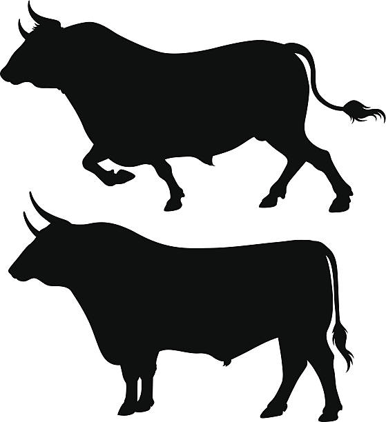 Vector bull silhouettes vector art illustration