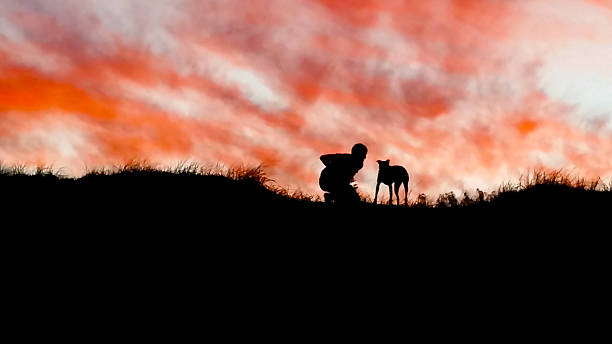 istock Silhouette of person looking at dog 482068290