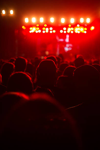 istock Enojoying music festival 482071060
