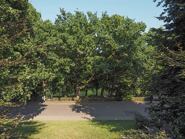 Valentino park in Turin Turin, Italy - July 11, 2015: Tourists in Parco del Valentino which is the oldest and largest urban park in Turin park designer label stock pictures, royalty-free photos & images