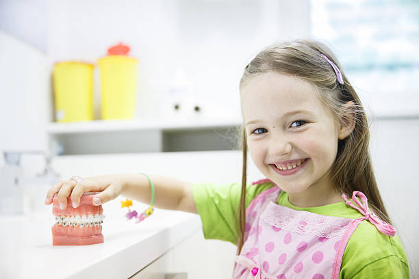 menina segurando modelo da mandíbula humano com odontologia chavetas - dentist child dentist office human teeth imagens e fotografias de stock