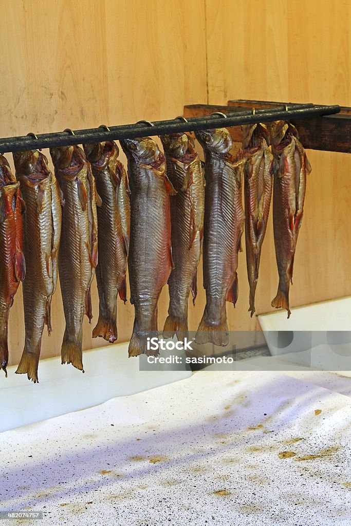 Hanging Trouts que s'envían al smokehouse - Foto de stock de Agalla libre de derechos