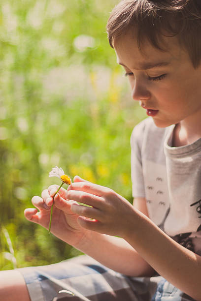 istock Boy with daisy playing 