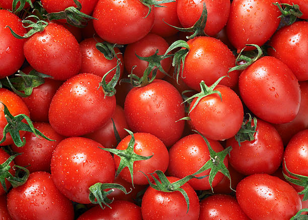 tomates fundo de - tomato small food vegetable - fotografias e filmes do acervo