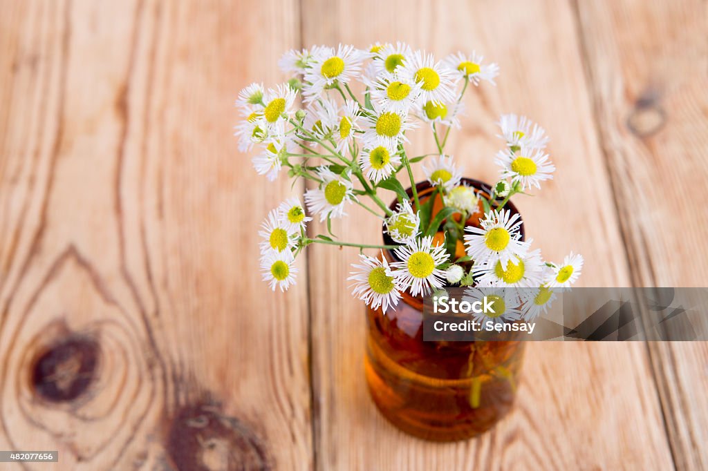 Alternative medicine concept - bottle with camomile on wooden ta Alternative medicine concept - bottle with camomile on wooden table 2015 Stock Photo