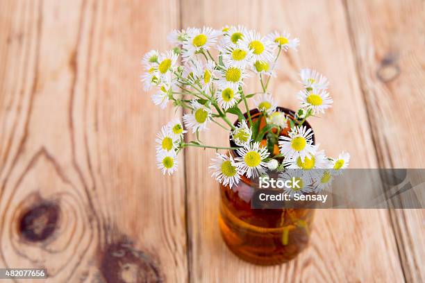 Alternative Medicine Concept Bottle With Camomile On Wooden Ta Stock Photo - Download Image Now