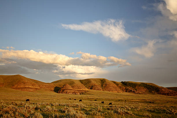 istock Big Muddy Valley in Southern Saskatchewan 482078243