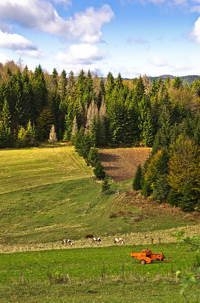 istock Radocelo mountain landscape at autumn sunny day 482078810