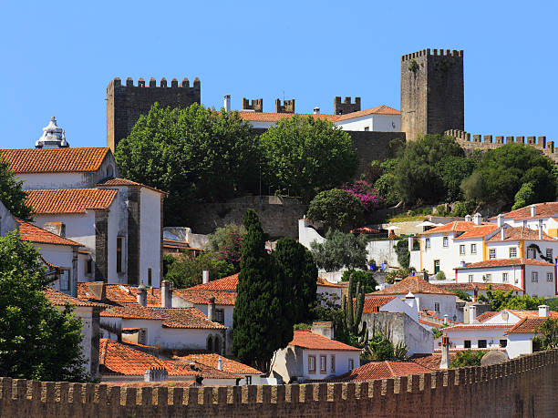 istock Obidos, Lisbon, Portugal. 482079548