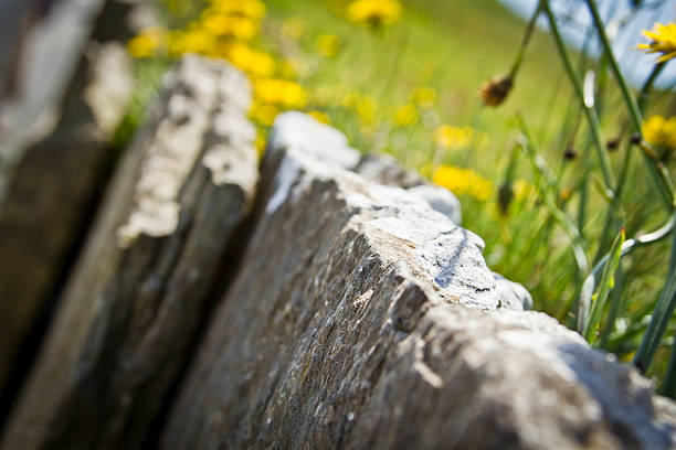 Stone wall stock photo