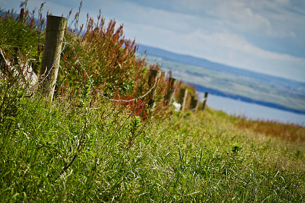 fence in Ireland stock photo