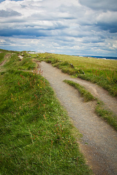 Path in a field stock photo