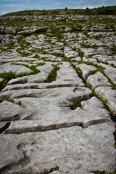 Rocks emerging in a field stock photo