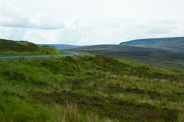 Field in Ireland stock photo