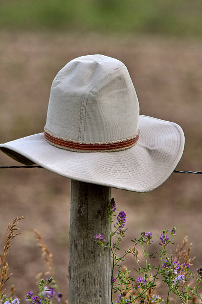 istock Cowboy hat nailed on fence post 482084141