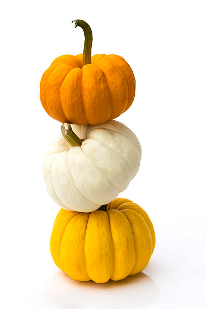 istock Stacked of pumpkins isolated on white background 482085695