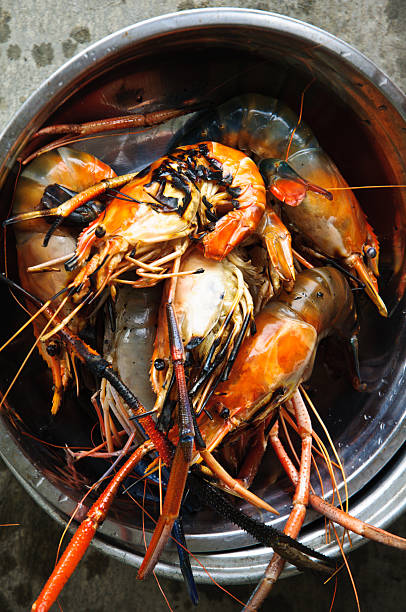 istock Pile of many Grilled shrimp in pot 482087408