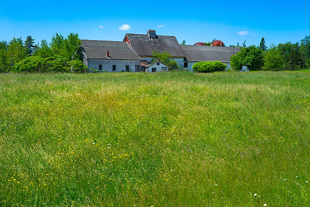 istock Old abandoned farmhouse in field 482087700