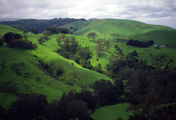 istock Verdant green hills in Victoria Australia 482088308