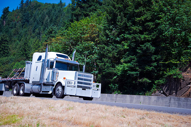 istock Huge powerful truck with protective grille load on highway 482088382