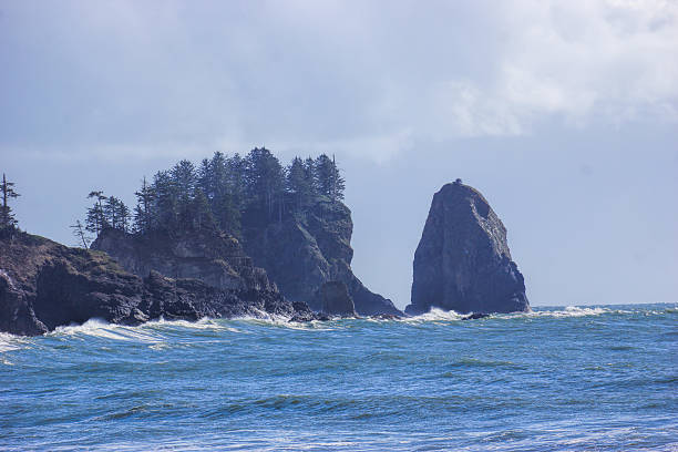 istock south of La Push 482088775