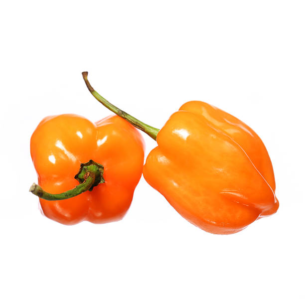 istock Two Extremely Hot Habanero Peppers isolated 482089405