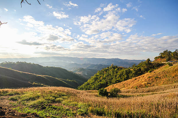 istock Doi Pha Tang, Chiang Rai Thailand 482091310