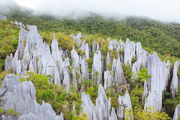 limestone pinnacles formation at gunung mulu national park borneo malaysia