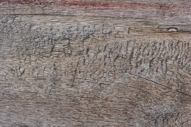 istock Carved wood wall close 482095128