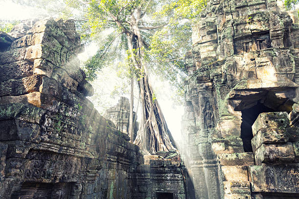 istock Temple in Angkor Thom, Cambodia 482095147