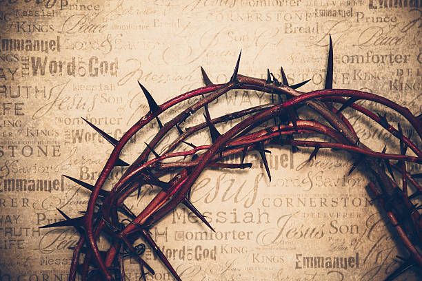 가시관 - easter crown of thorns forgiveness savior 뉴스 사진 이미지