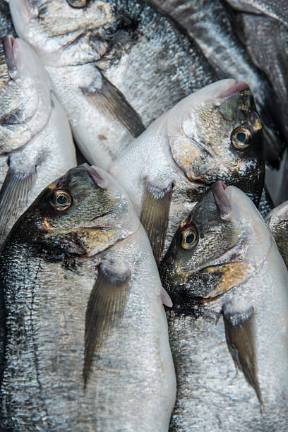 istock Gilt-head bream at fish market 482096608