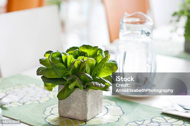 Basil Bunch In Stone Decorative Pot On The Table Stock Photo - Download Image Now - Arrangement, Arranging, Basil