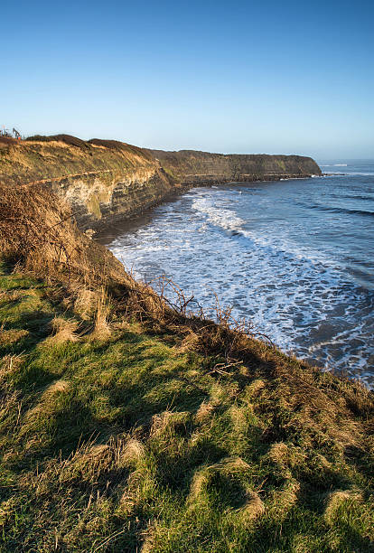 istock Beautiful coastal landscape at sunrise with cliffs 482103935