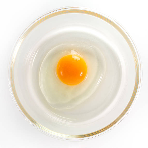 egg yolk in a bowl stock photo