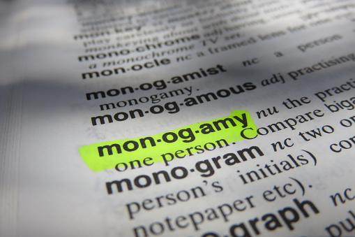 Monogamy - dictionary definition